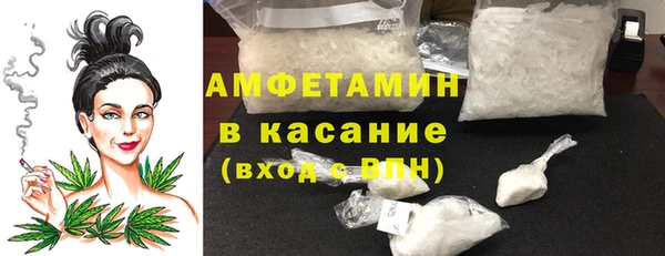шишки Алзамай