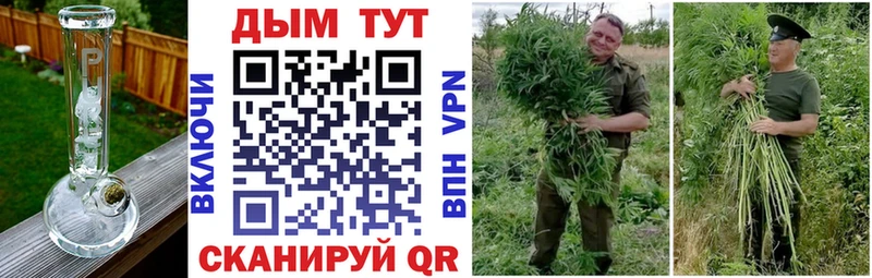 Бошки Шишки марихуана  Среднеколымск 